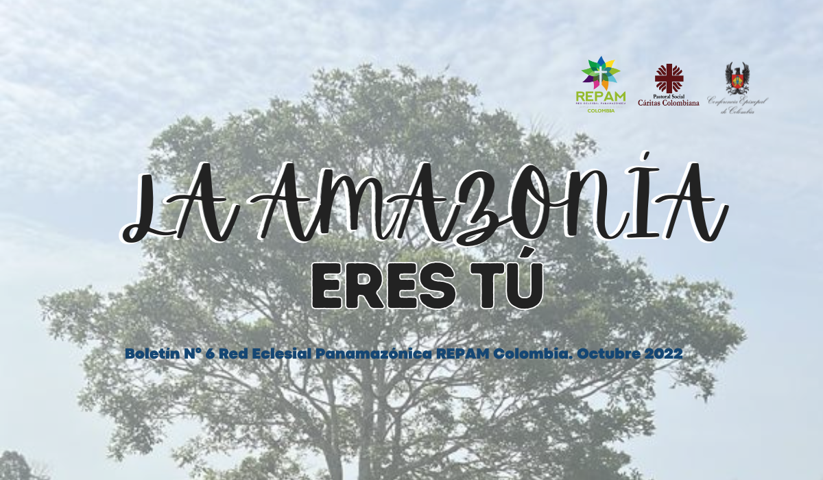 Boletín SNPS La Amazonía