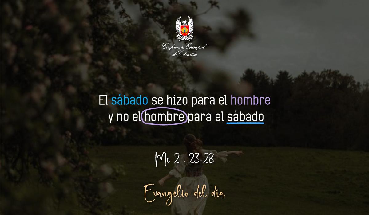 21-de-enero-evangelio-san-marcos-2-23-28