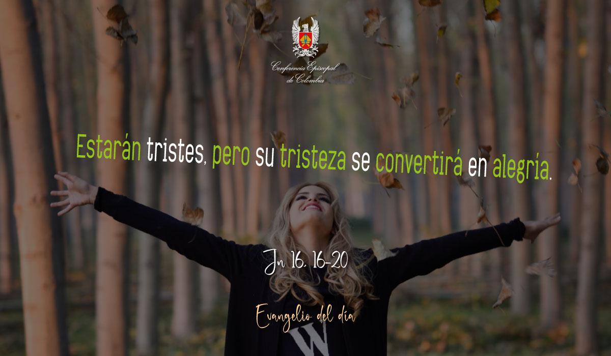 29-MAYO-EVANGELIO