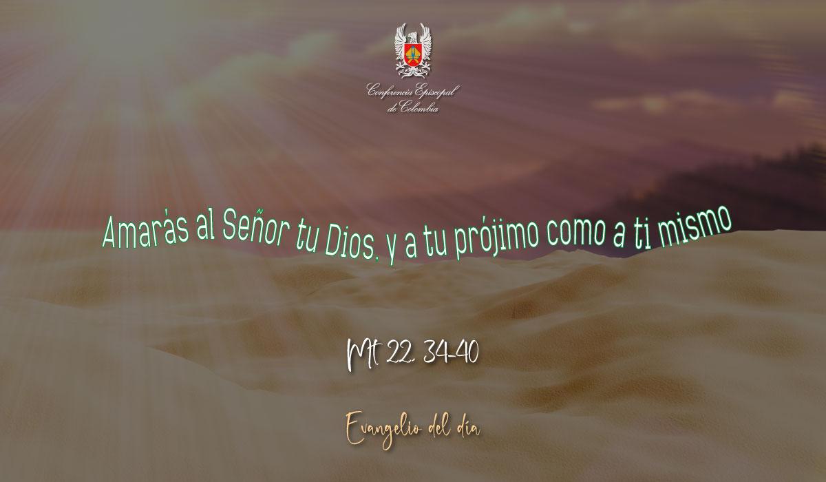 22-AGOSTO-EVANGELIO