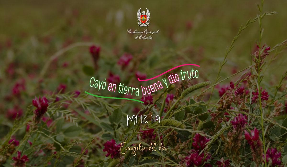 23-JULIO-EVANGELIO