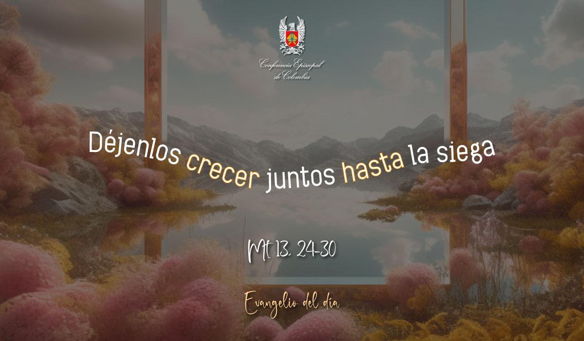 26-JULIO-EVANGELIO