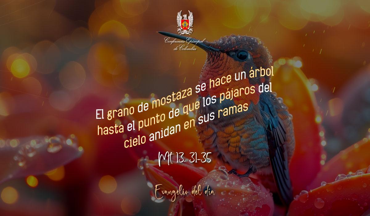 28-JULIO-EVANGELIO