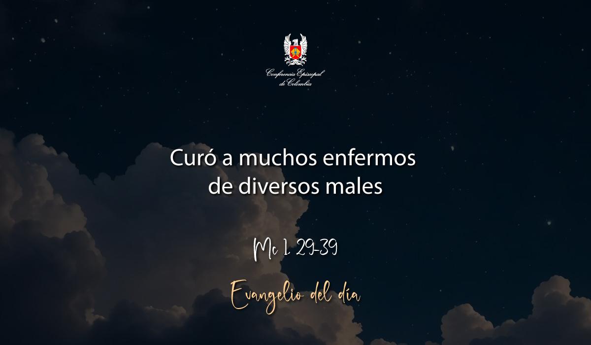 Evangelio 14 De Enero San Marcos Mc 1, 29-39