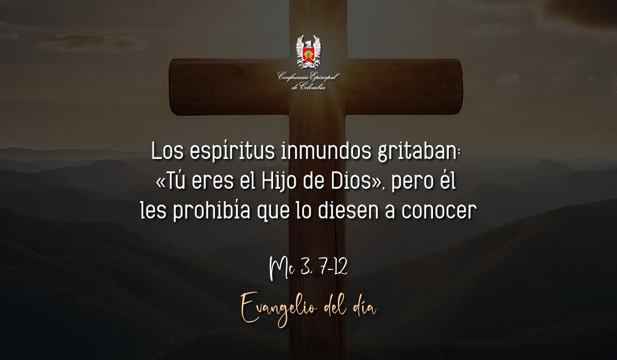 Evangelio 22 De Enero San Marcos Mc 3, 7-12