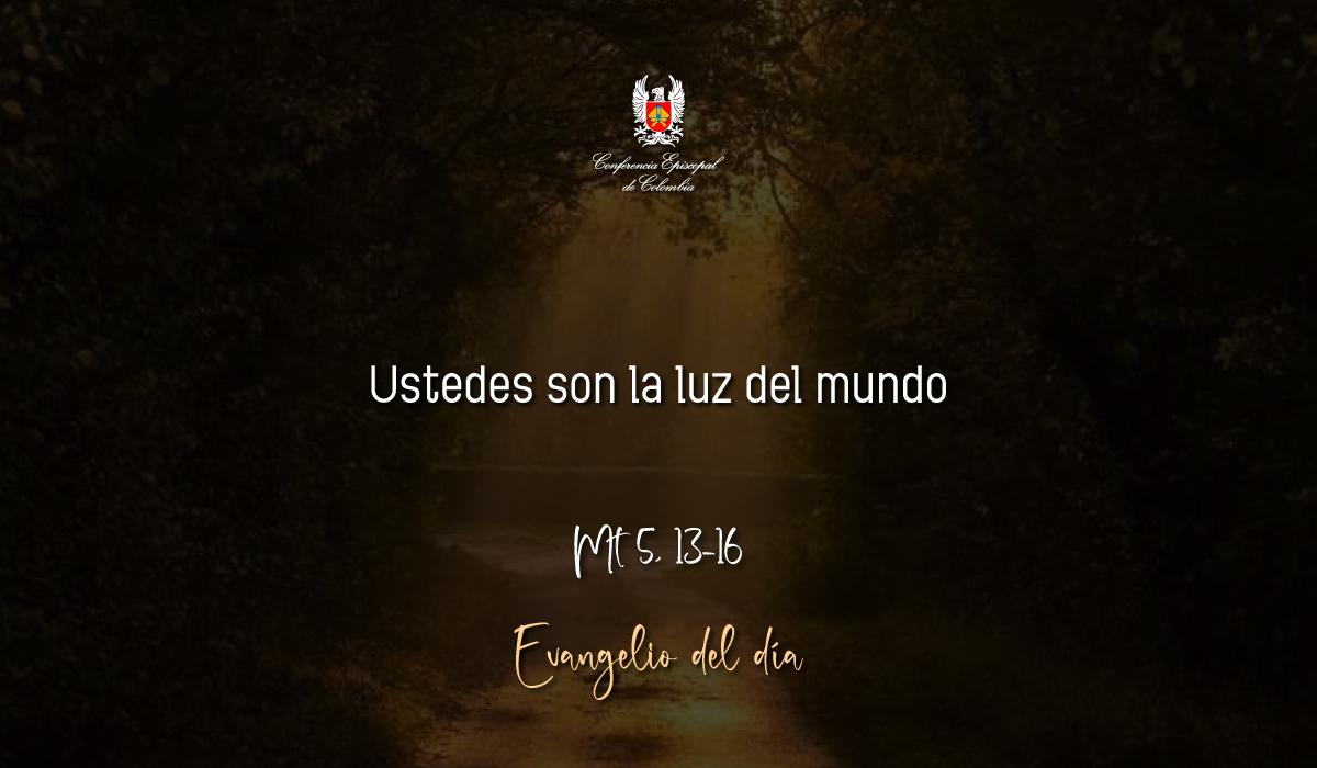 08 de Febrero | Lectura del Santo Evangelio según San Mateo Mt 5, 13-16