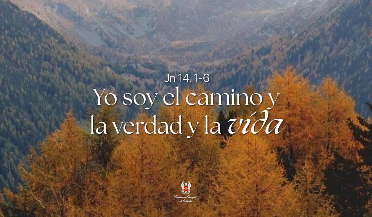 Evangelio del dia según San Juan Jn 14, 1-6