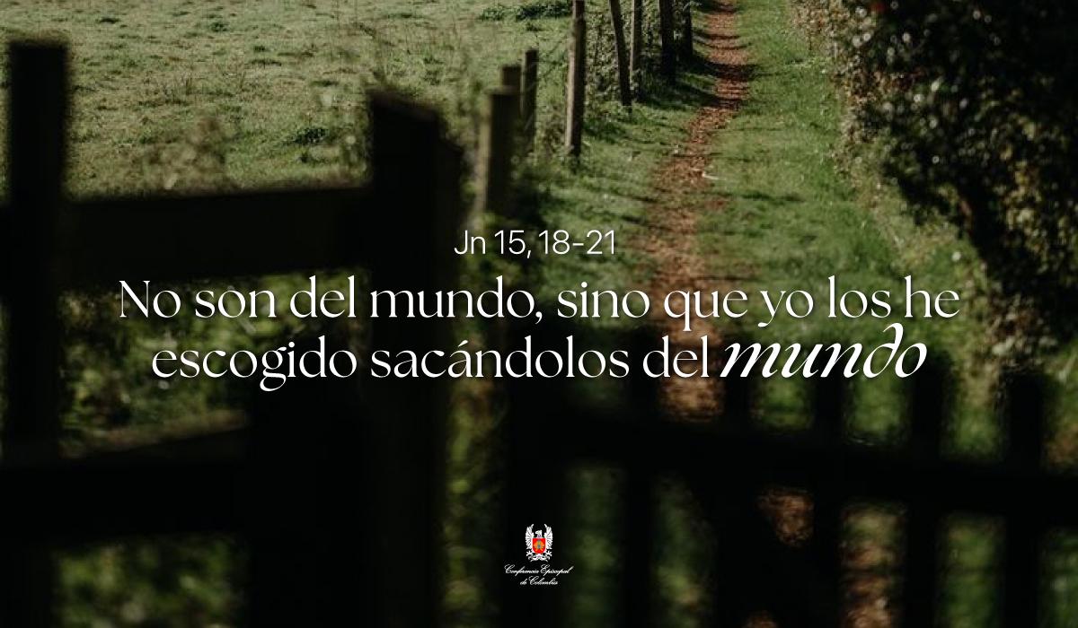 09-Evangelio-De-Mayo