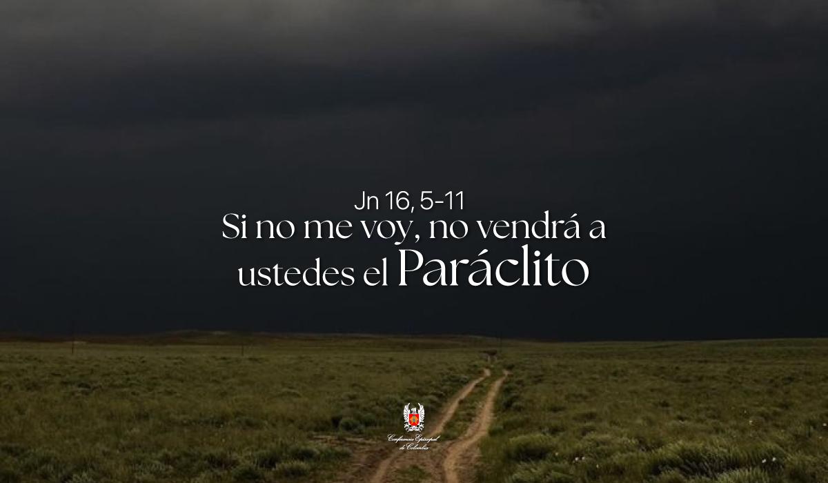 12-Evangelio-De-Mayo