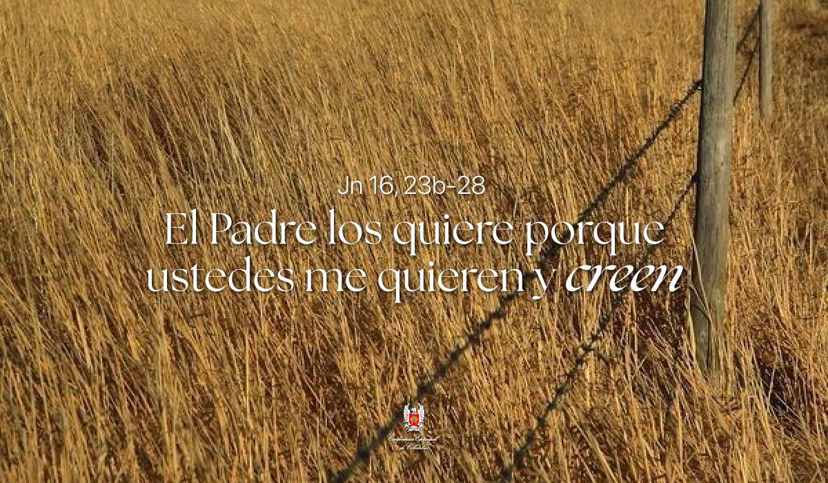 16-Evangelio-De-Mayo
