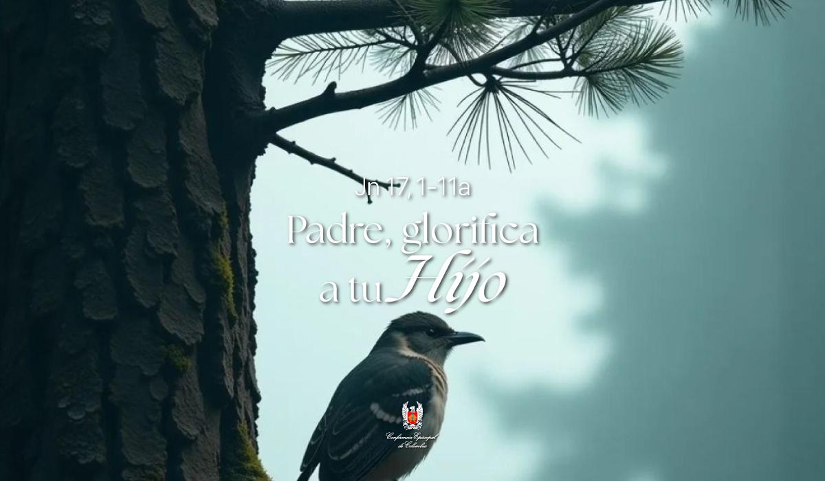 19-Evangelio-De-Mayo