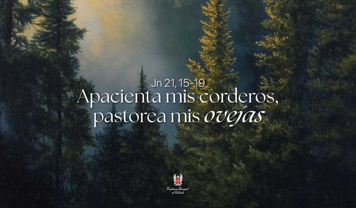 22-Evangelio-De-Mayo