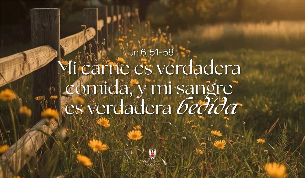 07 - WEB