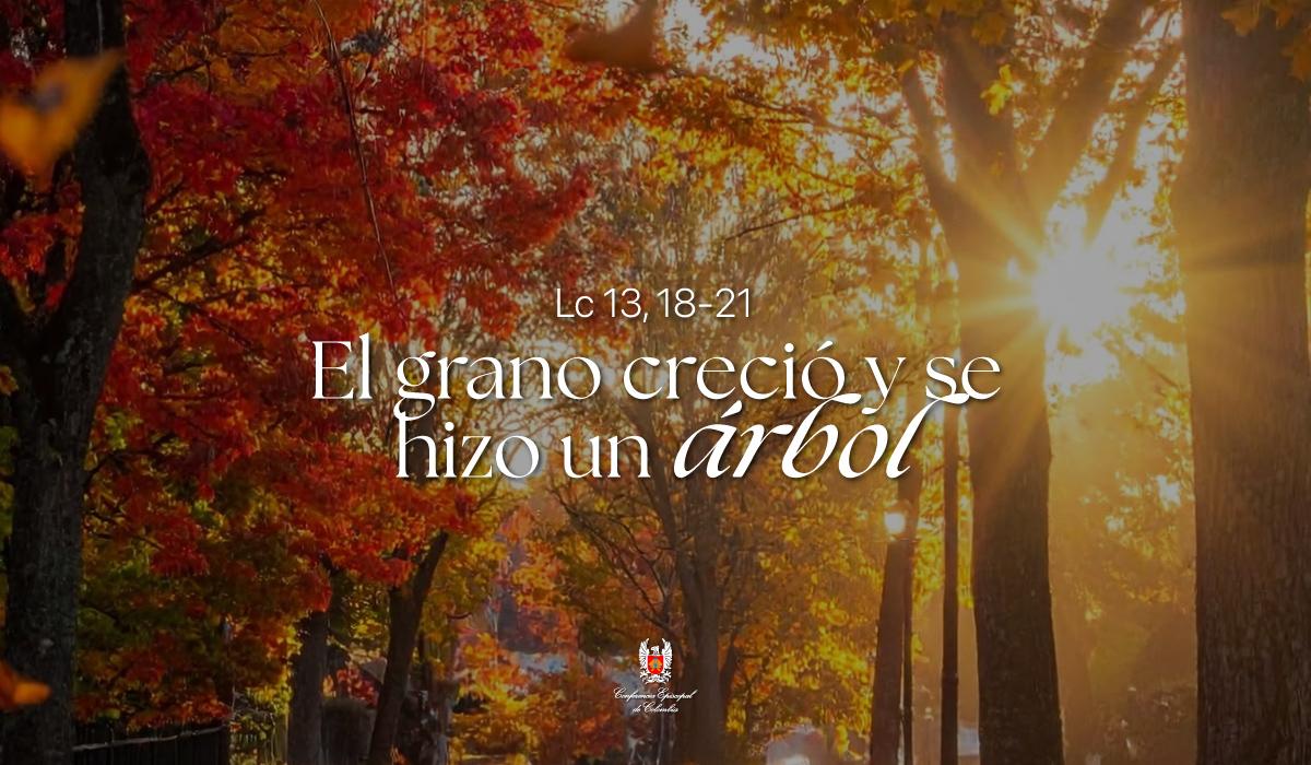 27-octubre-evangelio-web.jpg
